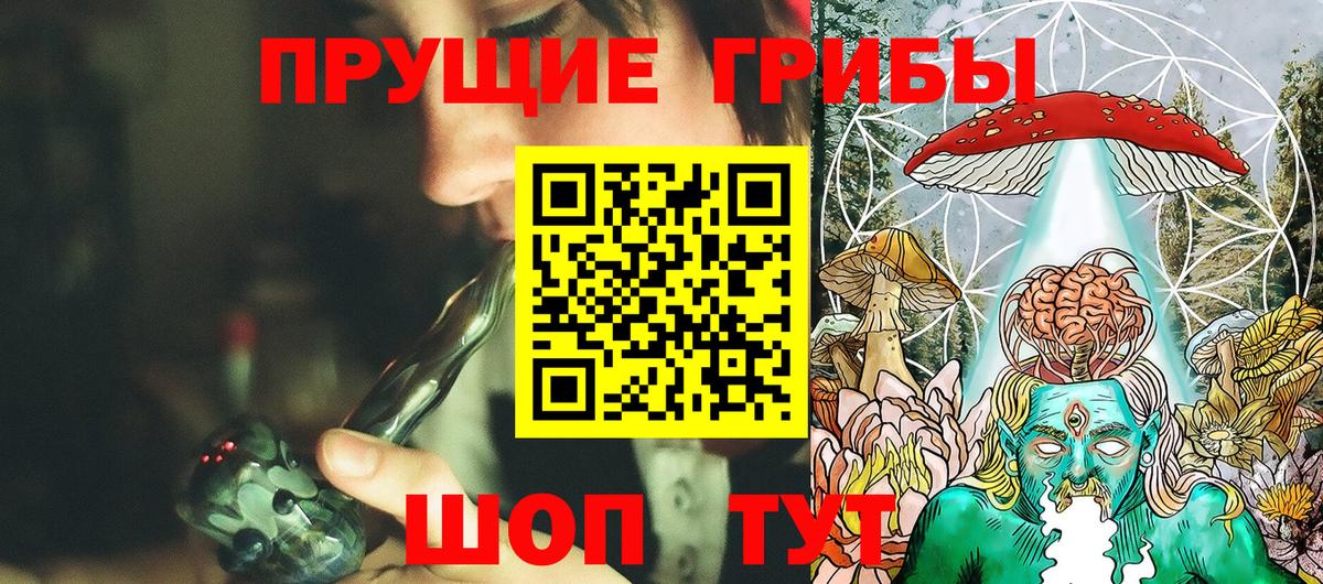 Аргун  Псилоцибиновые грибы Cubensis  Вход с VPN 